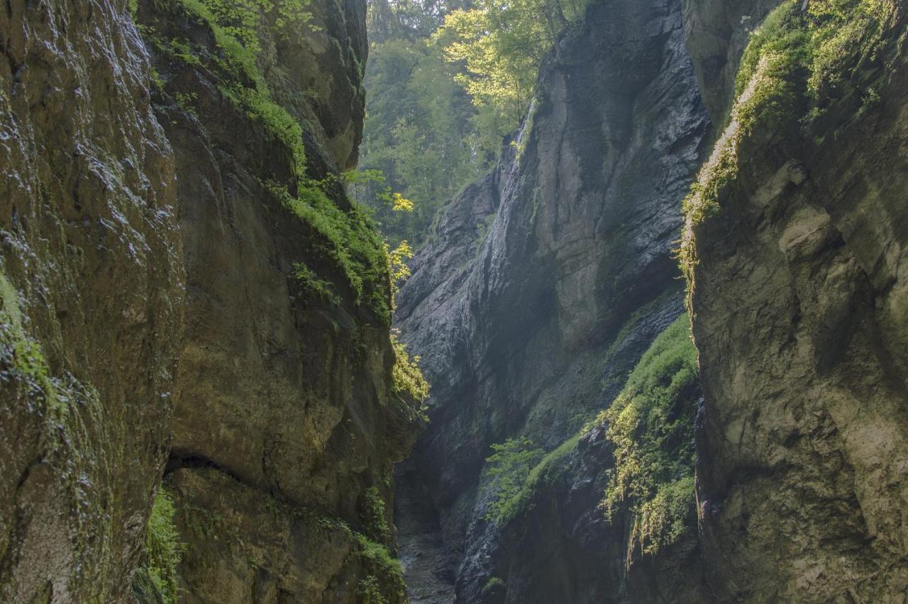 Happy Trails, Cosy One Garten * Oberau (Garmisch-Partenkirchen)
